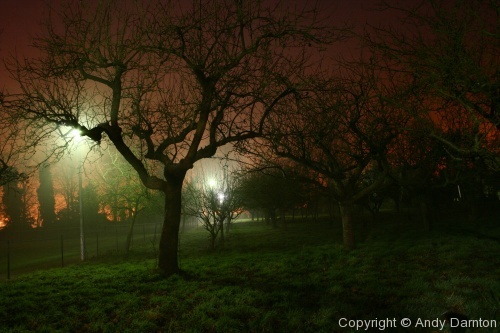 Girton by Night - Photo 25
